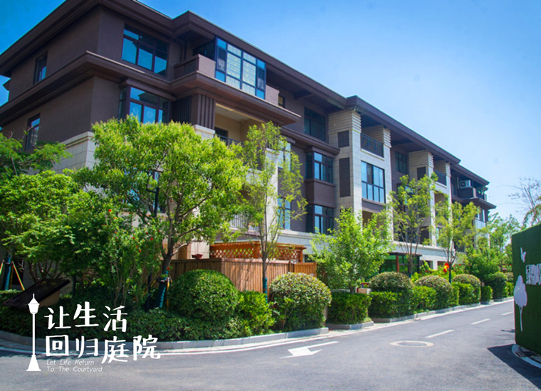 前后张望南阳50年：这样的天井，，，，，很难再有了！