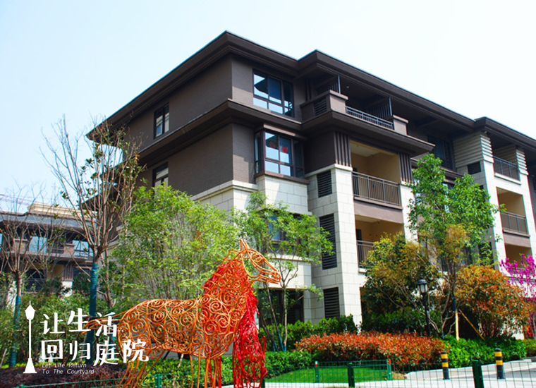 前后张望南阳50年：这样的天井，，，，，很难再有了！