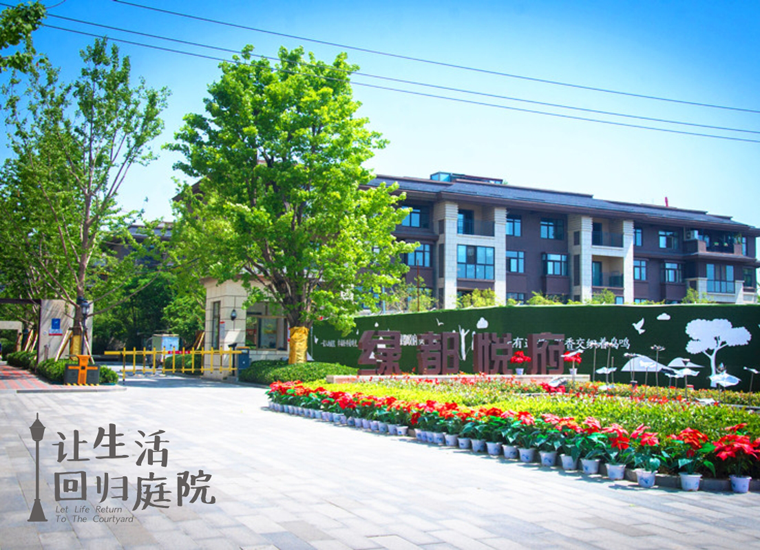 前后张望南阳50年：这样的天井，，，，，很难再有了！
