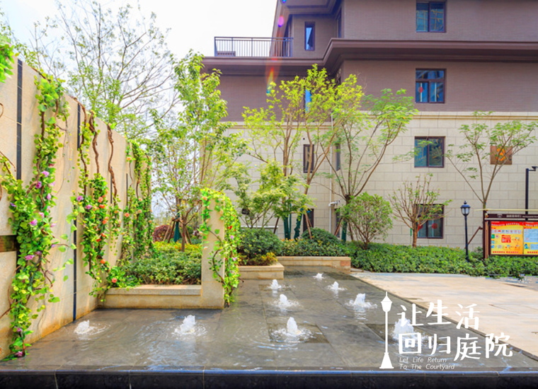前后张望南阳50年：这样的天井，，，，，很难再有了！