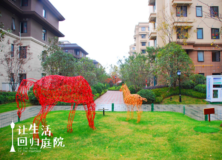 前后张望南阳50年：这样的天井，，，，，很难再有了！