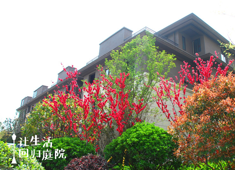 前后张望南阳50年：这样的天井，，，，，很难再有了！