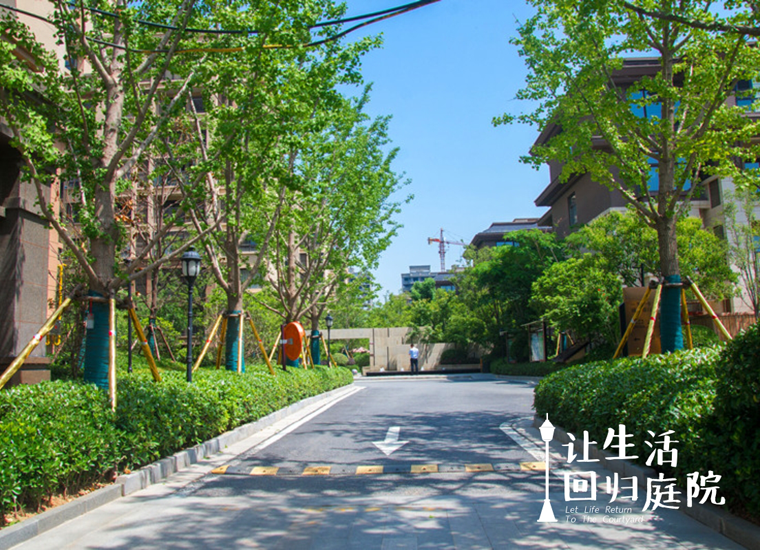 前后张望南阳50年：这样的天井，，，，，很难再有了！