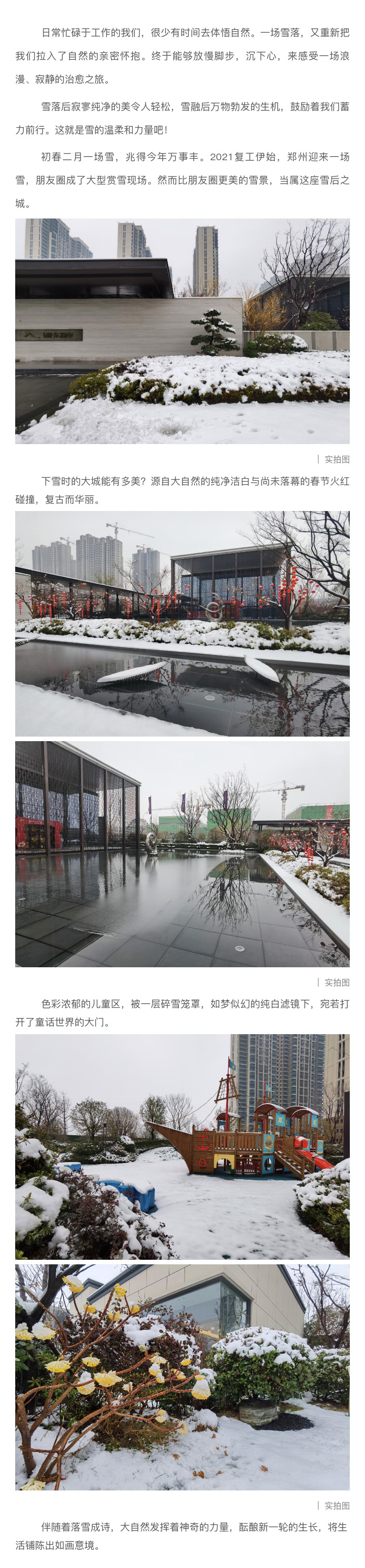 2021浪漫开年，，，，，，，，共赏一场鹅毛大雪！