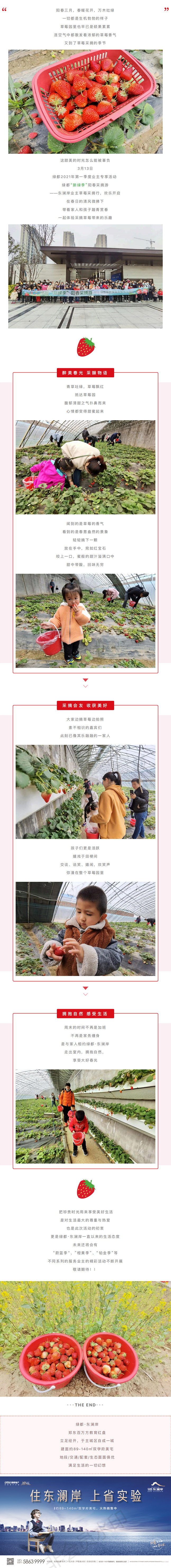 草莓采摘行|“莓”好同业，，，，，不负春日好时光