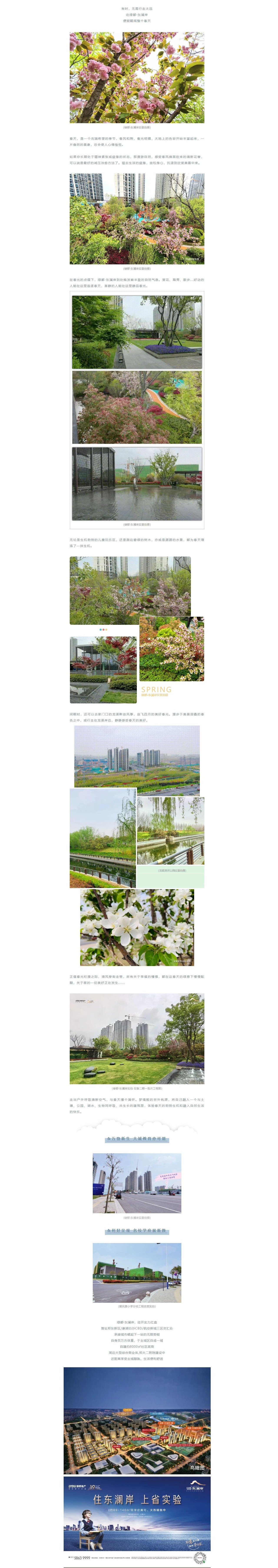 赏花踏青，，，，，，，来一场和春天的约会