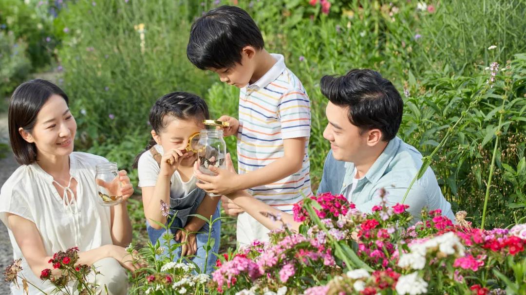 定了！“神兽”线上开学，，，，，，，，家里有学生的必看！